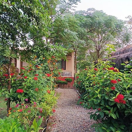 Hotel Crocodile Safari Camp Chitwan Zewnętrze zdjęcie