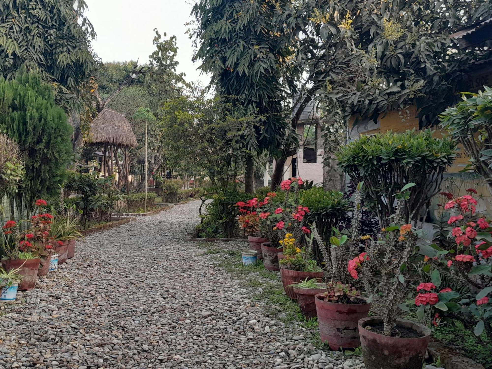 Hotel Crocodile Safari Camp Chitwan Zewnętrze zdjęcie