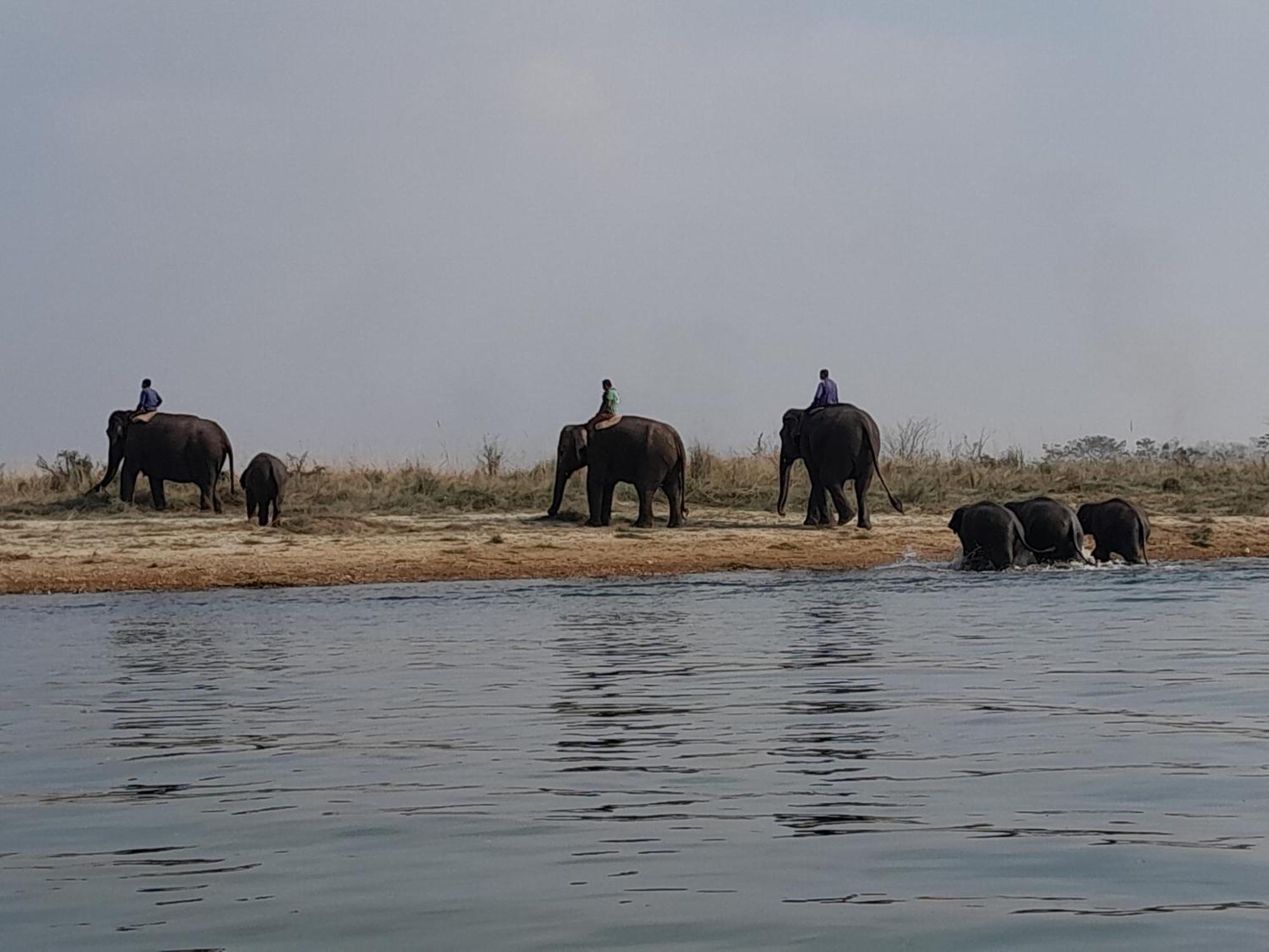 Hotel Crocodile Safari Camp Chitwan Zewnętrze zdjęcie
