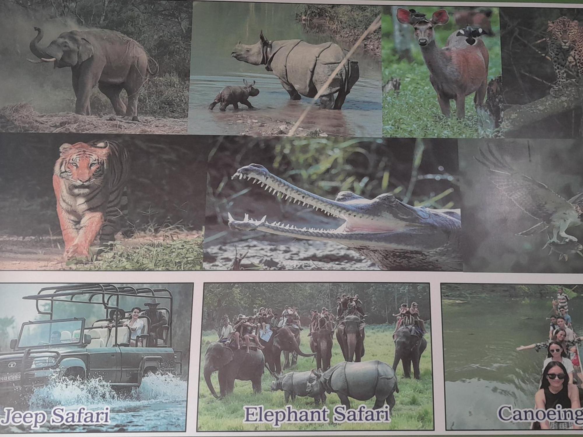 Hotel Crocodile Safari Camp Chitwan Zewnętrze zdjęcie