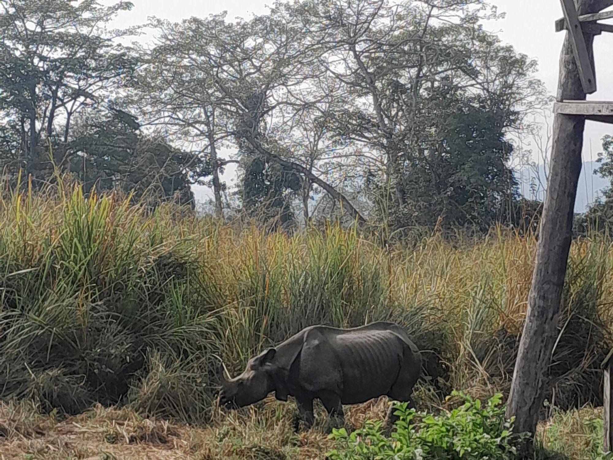 Hotel Crocodile Safari Camp Chitwan Zewnętrze zdjęcie