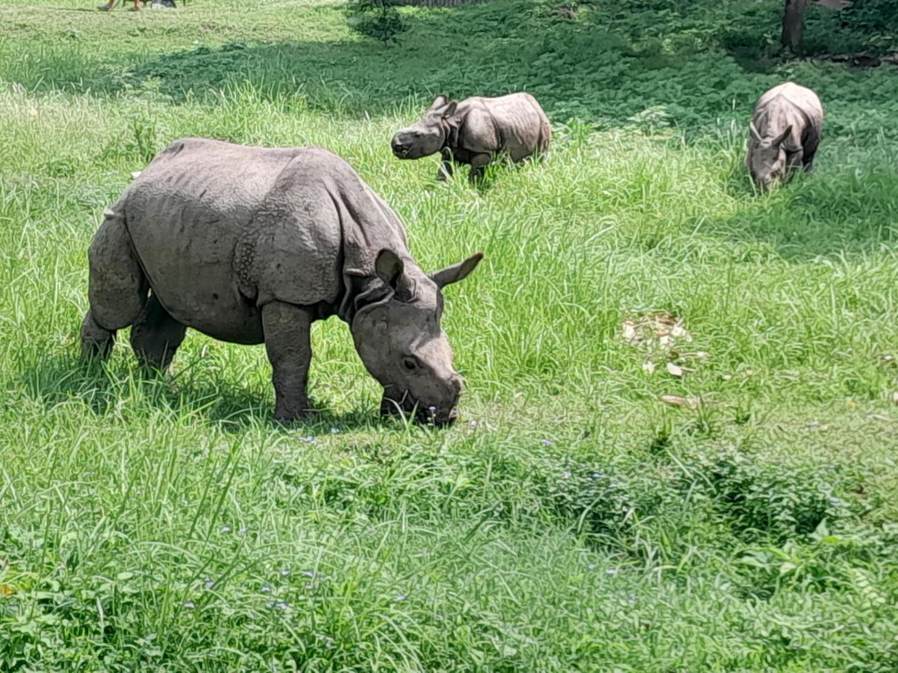 Hotel Crocodile Safari Camp Chitwan Zewnętrze zdjęcie