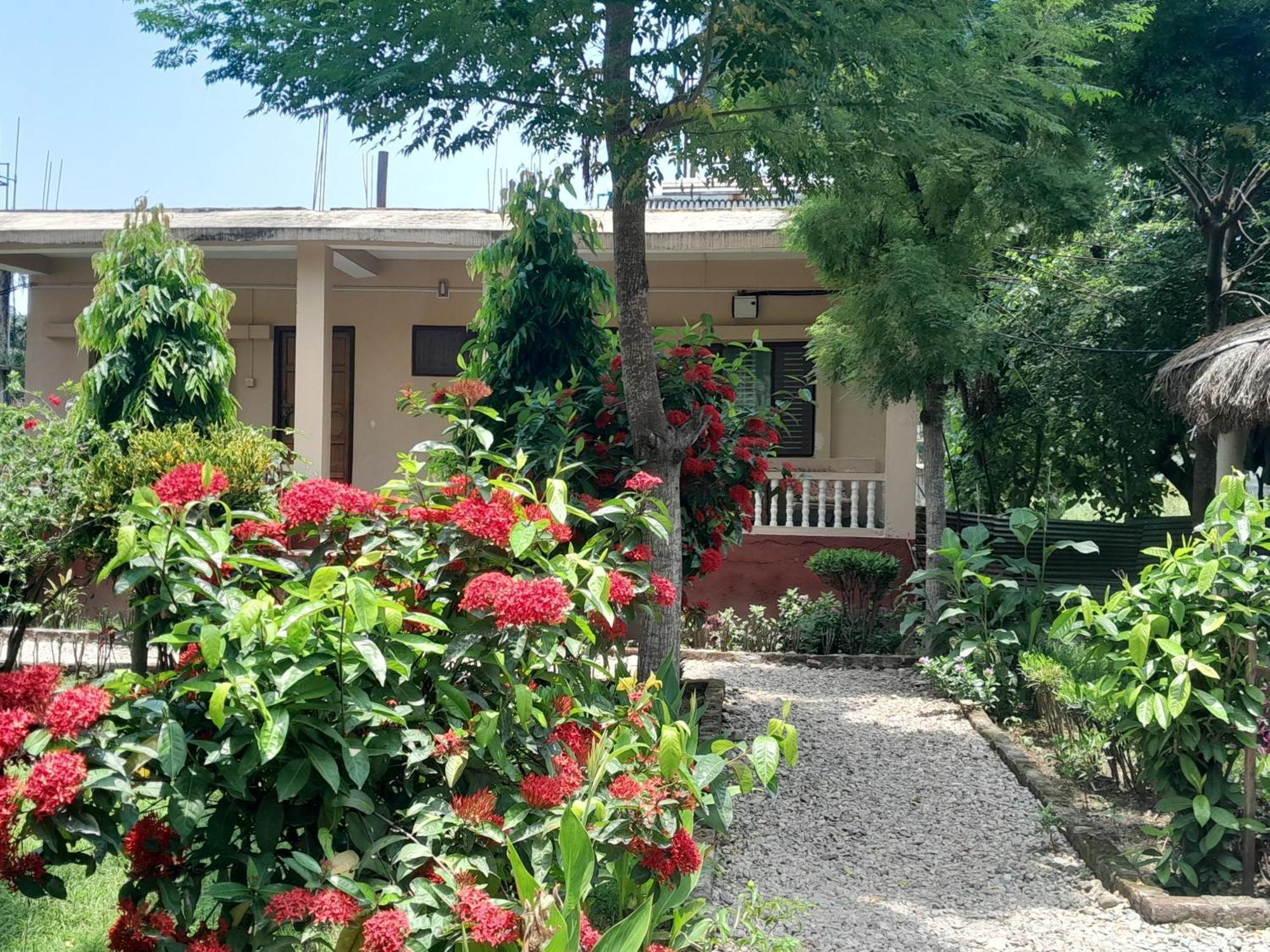 Hotel Crocodile Safari Camp Chitwan Zewnętrze zdjęcie