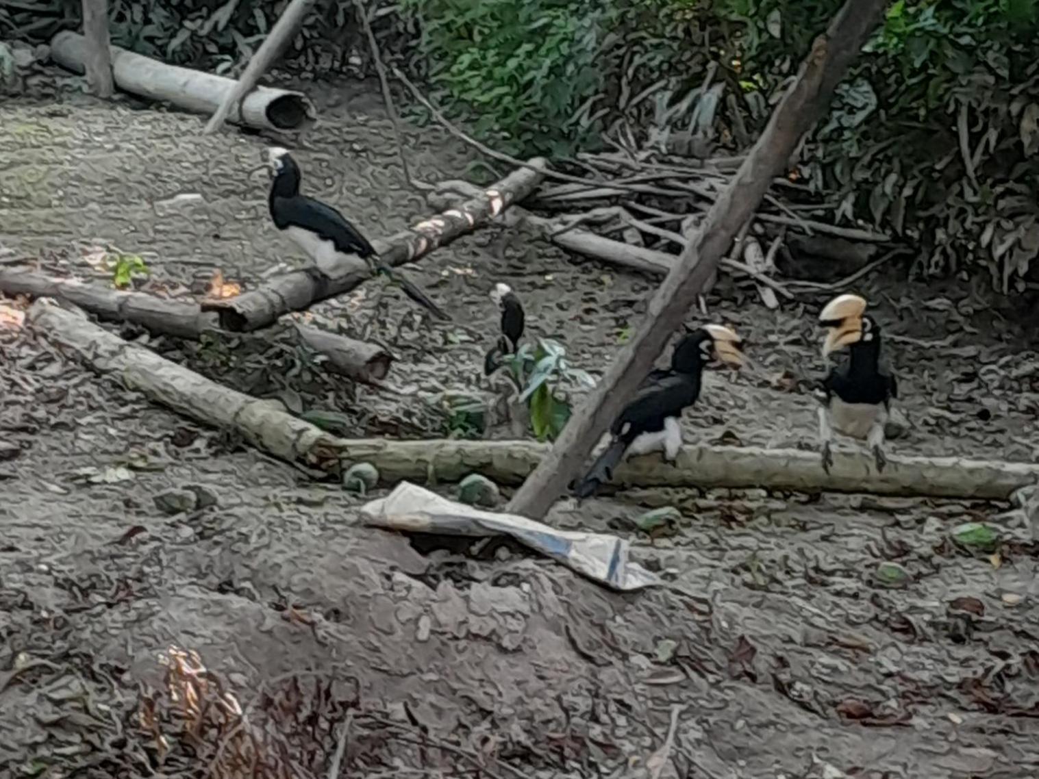Hotel Crocodile Safari Camp Chitwan Zewnętrze zdjęcie