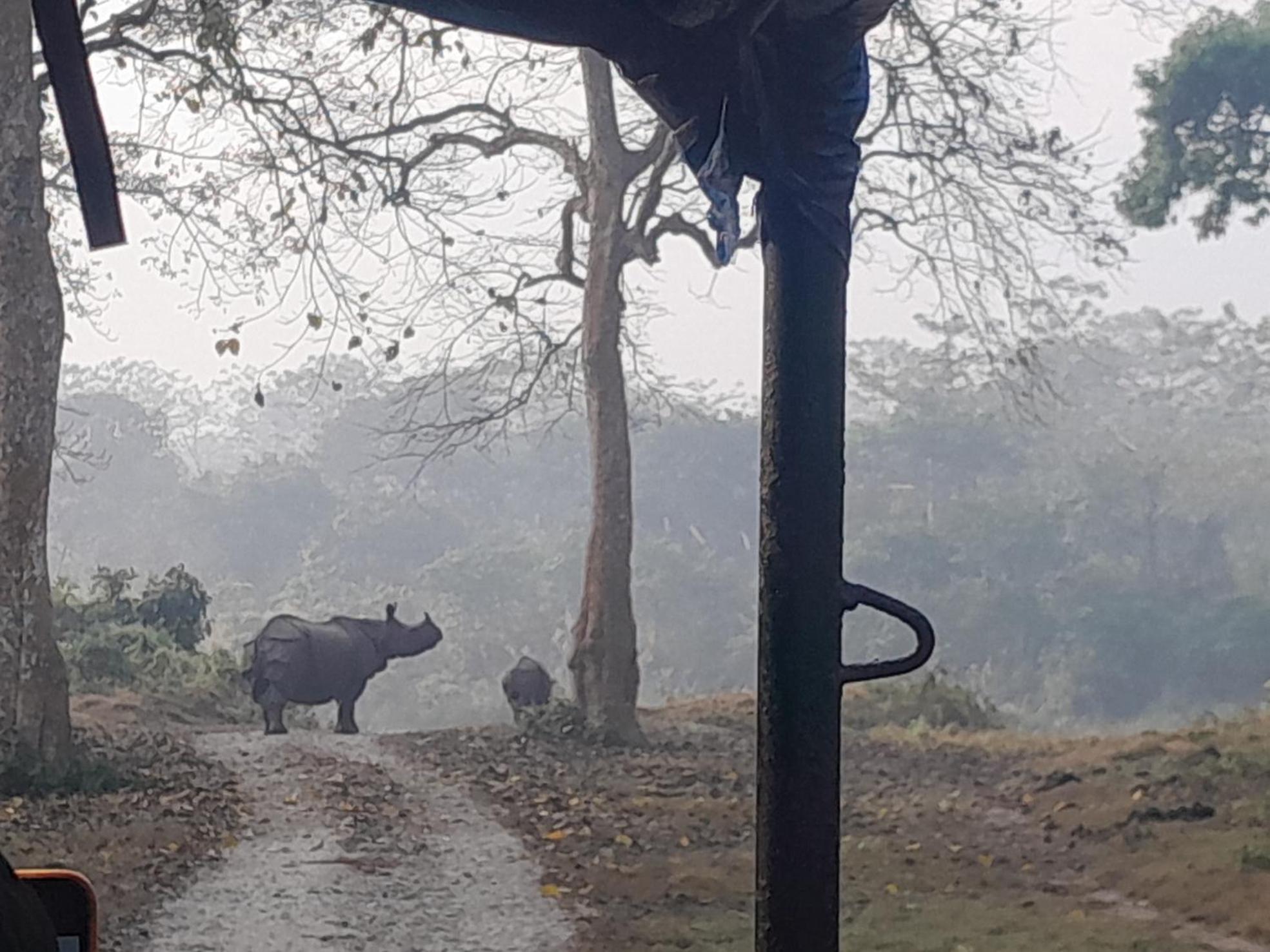 Hotel Crocodile Safari Camp Chitwan Zewnętrze zdjęcie