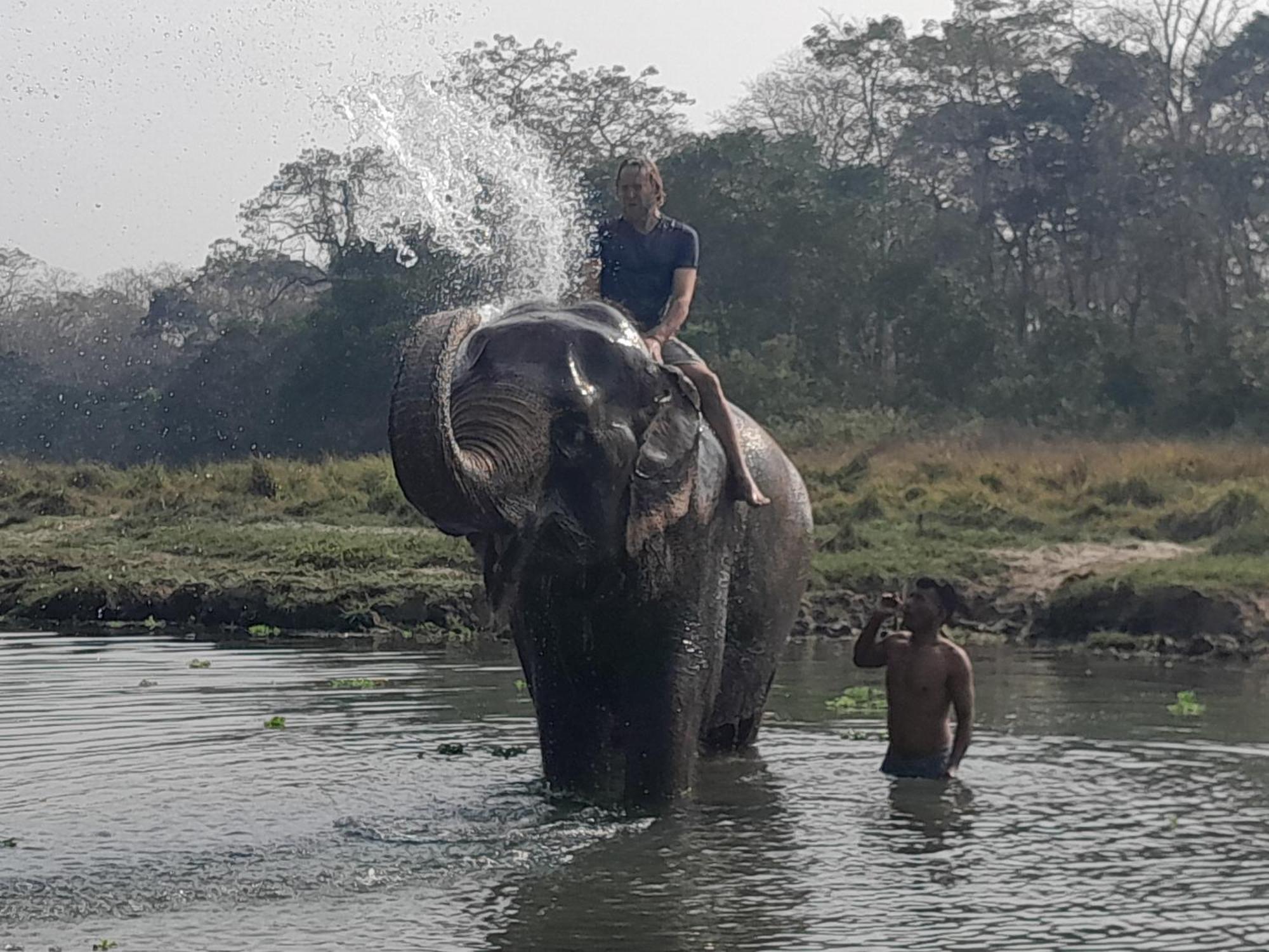 Hotel Crocodile Safari Camp Chitwan Zewnętrze zdjęcie