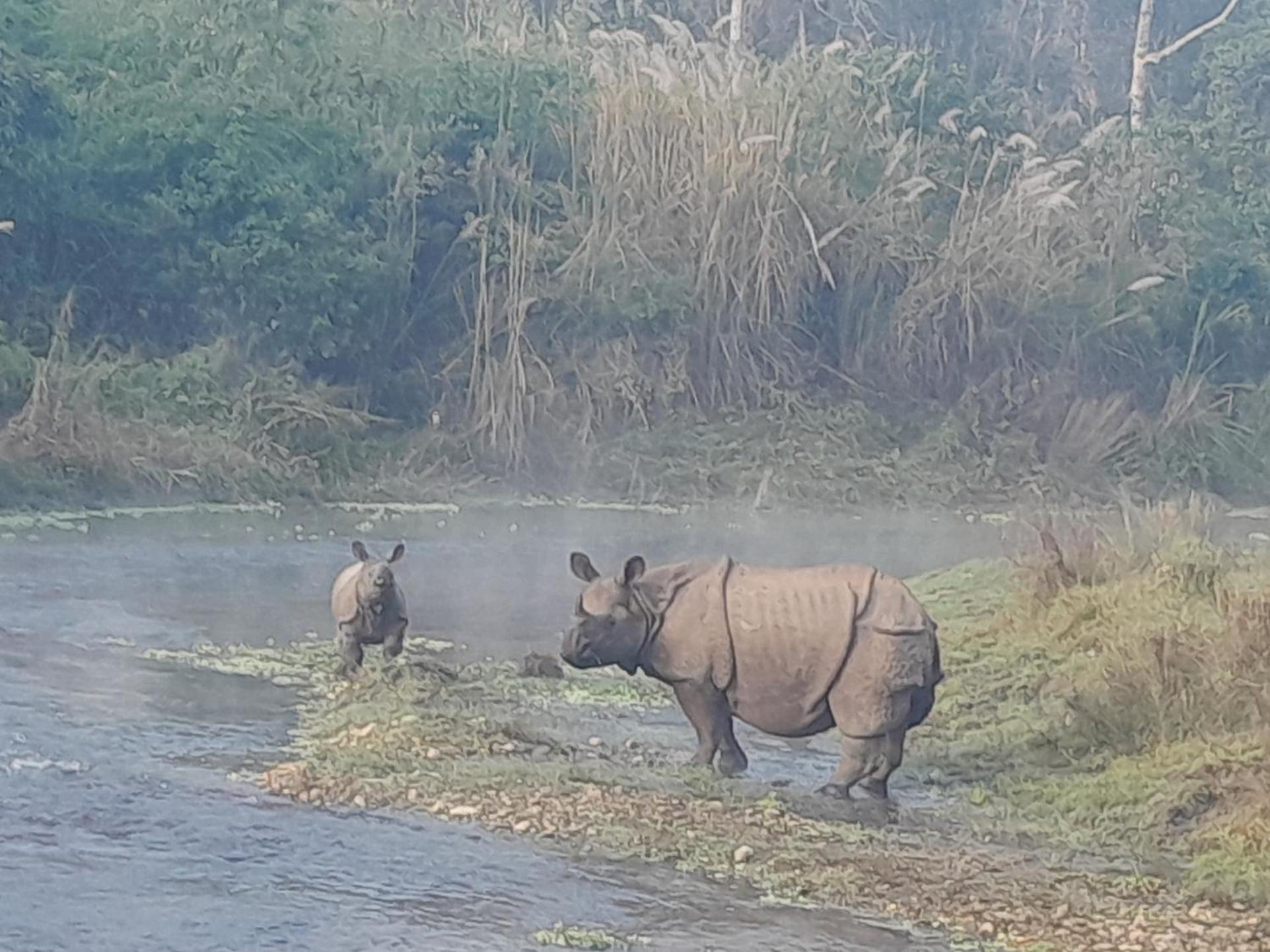 Hotel Crocodile Safari Camp Chitwan Zewnętrze zdjęcie