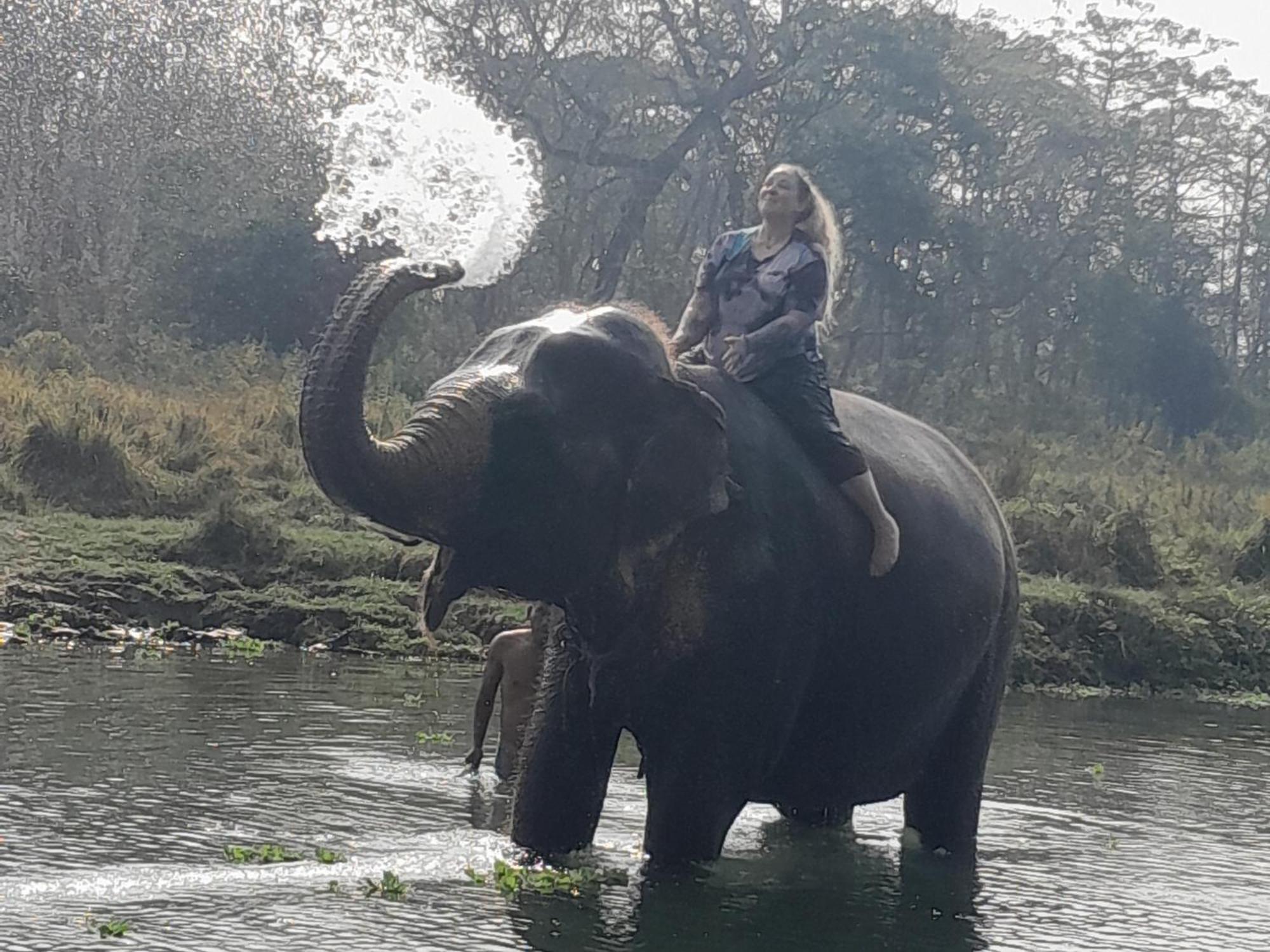 Hotel Crocodile Safari Camp Chitwan Zewnętrze zdjęcie