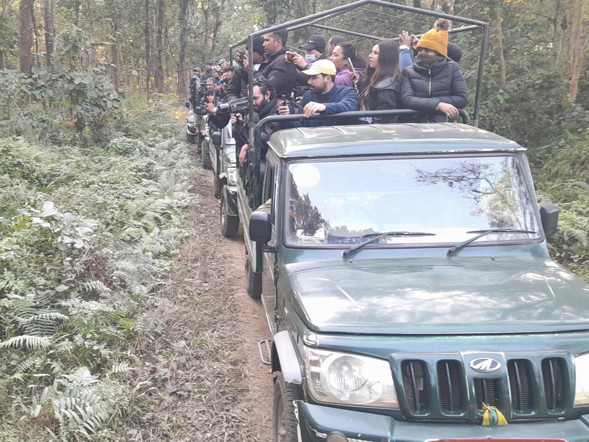 Hotel Crocodile Safari Camp Chitwan Zewnętrze zdjęcie